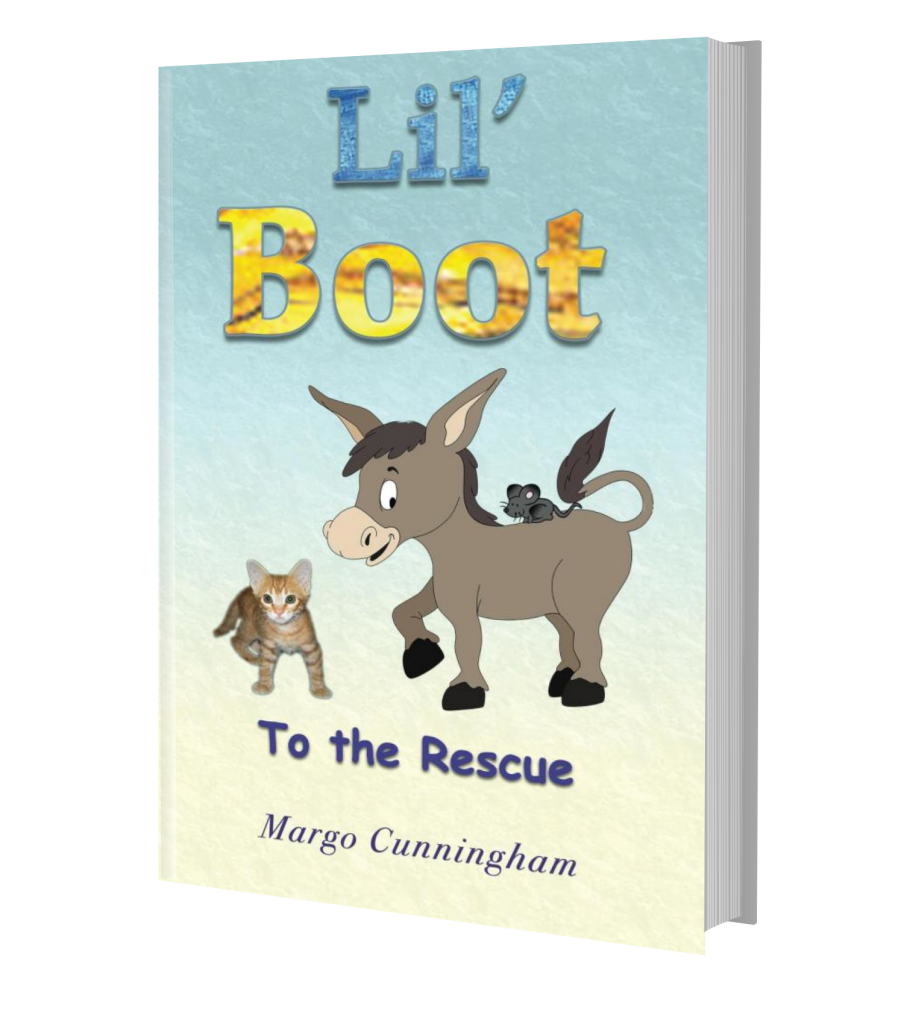 Lil' Boot 3 Book