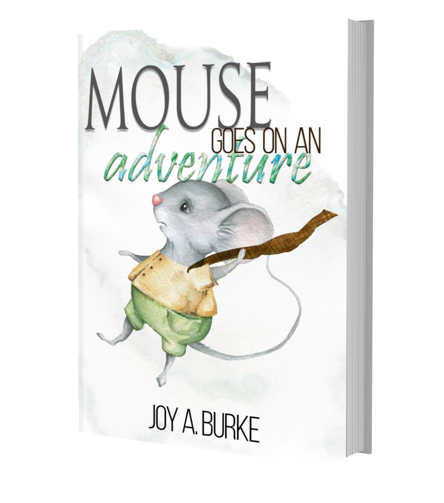 Mouse Book